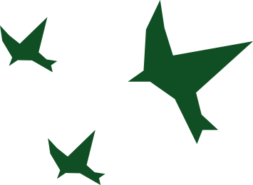 Waldapotheke Wagrain Birds