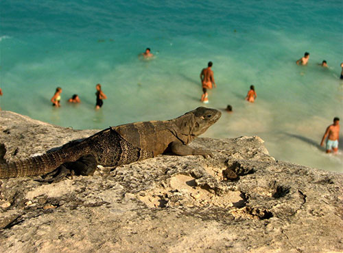 Reiseschatzerei Nachhaltigkeit